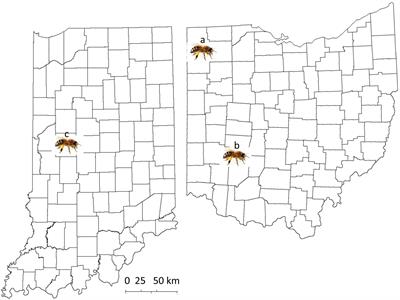 Morphological Changes in the Mandibles Accompany the Defensive Behavior of Indiana Mite Biting Honey Bees Against Varroa Destructor